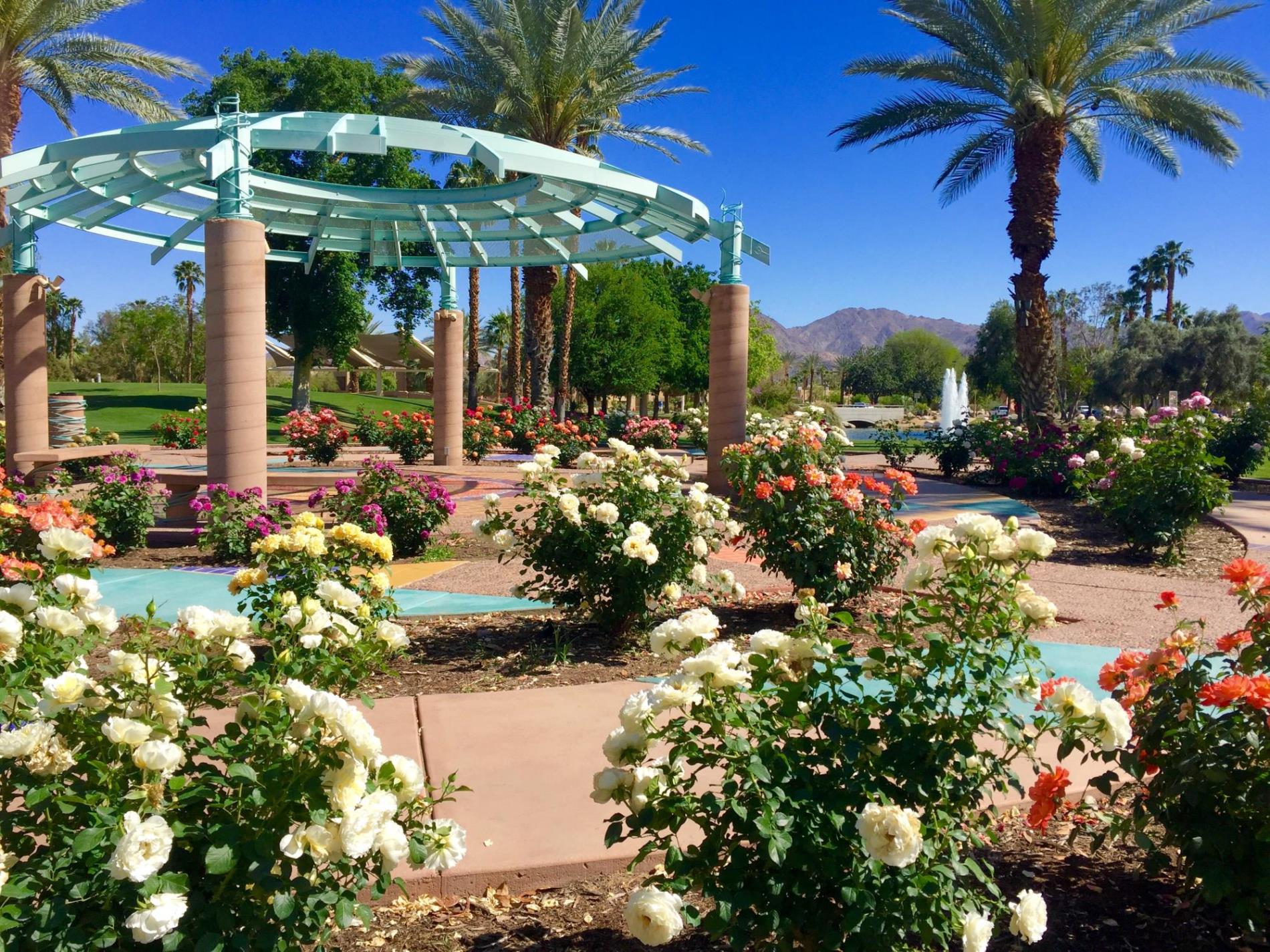 Rose Garden