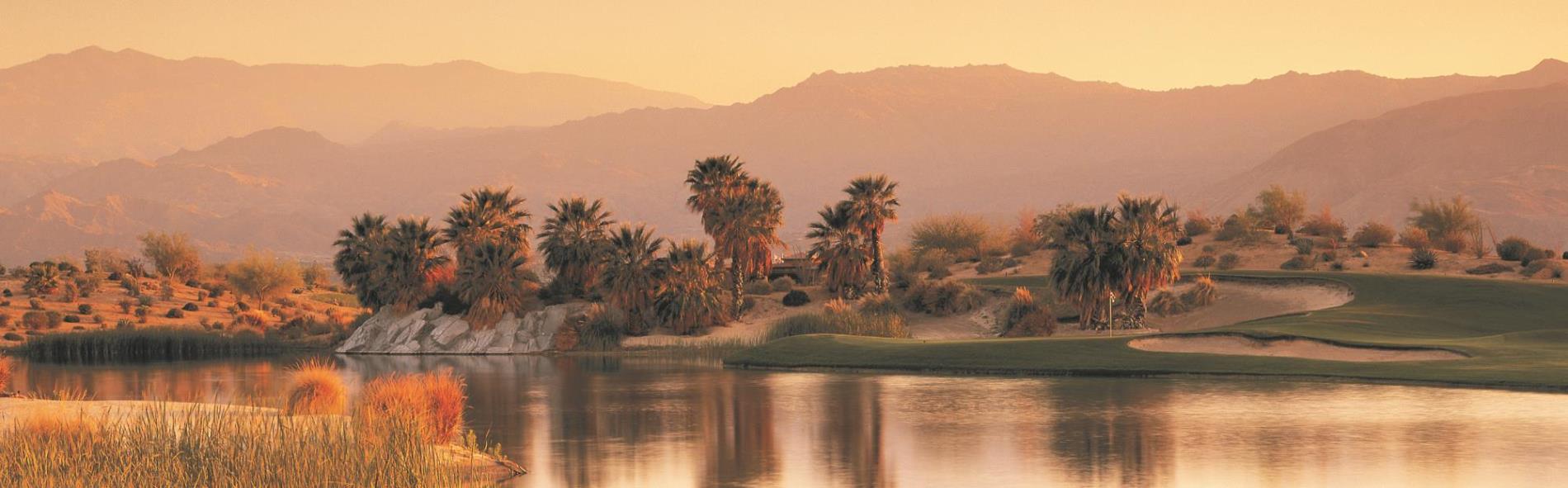 Desert Willow Sunset Banner