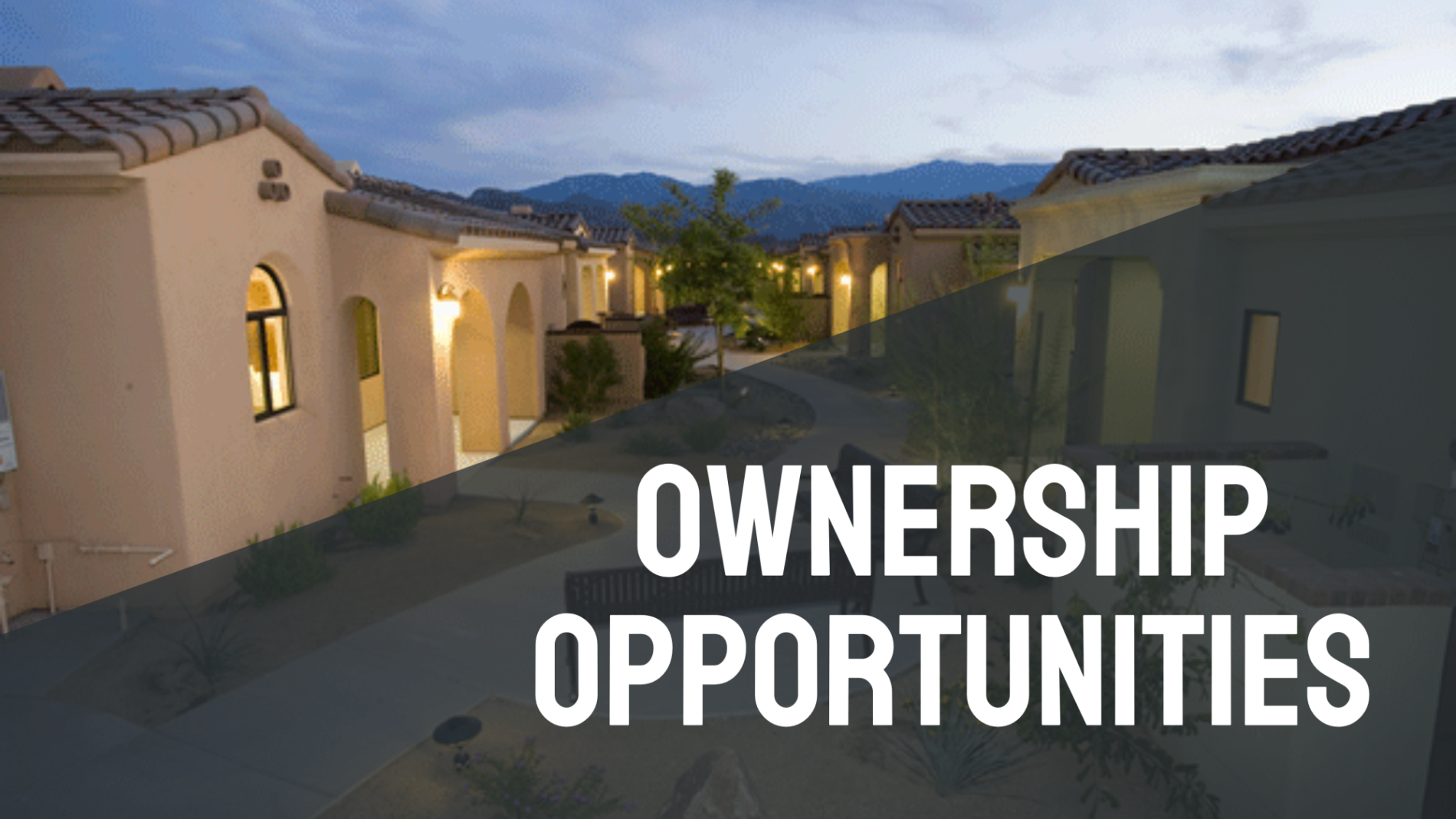 Ownership Opportunities